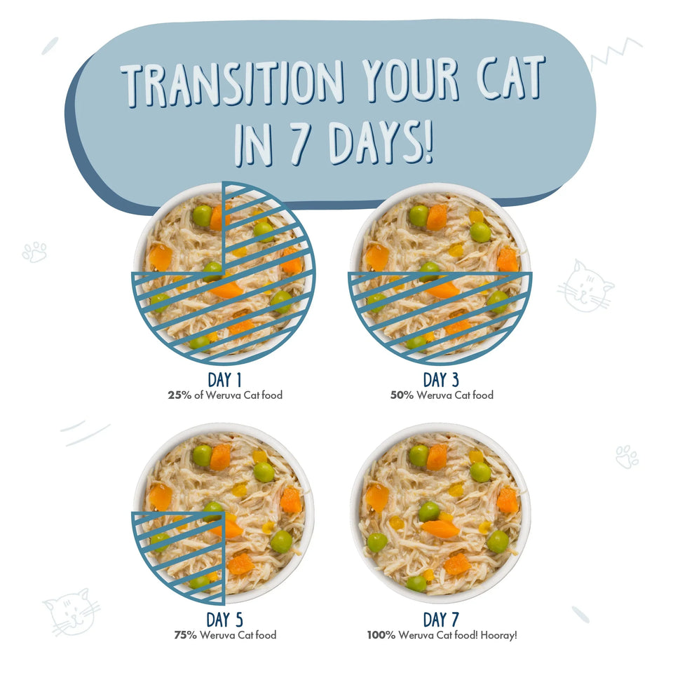 Weruva Cat Grandmas Chicken Soup with Chicken and Pumpkin, 5.5 oz each, Case of 24