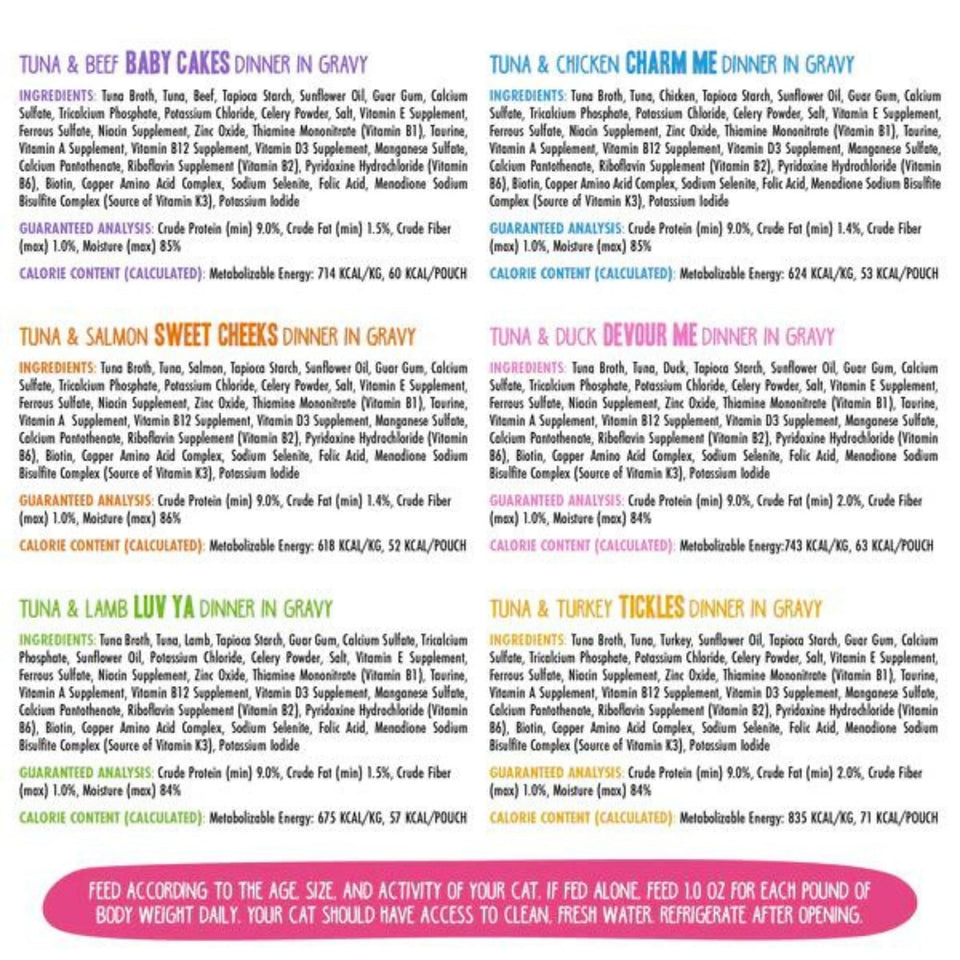 BFF Cat Omg Rainbow Variety Pack 3 oz. Pouch 12 ct