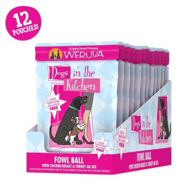 Dogs In The Kitchen Fowl Ball Chicken and Turkey Au Jus Wet Dog Food 2.8oz Pouches - Pets Perfect