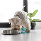Dogs In The Kitchen Funk in the Trunk Chicken and Pumpkin Au Jus Wet Dog Food 10oz - Pets Perfect