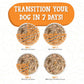 Dogs In The Kitchen Goldie Lox Chicken and Wild - Caught Salmon Au Jus Wet Dog Food 10oz - Pets Perfect