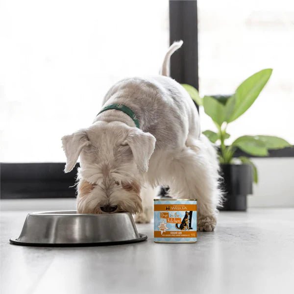 Dogs In The Kitchen Goldie Lox Chicken and Wild - Caught Salmon Au Jus Wet Dog Food 10oz - Pets Perfect