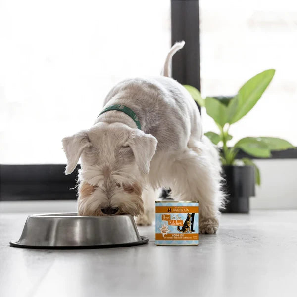 Dogs in The Kitchen Goldie Lox With Chicken And Wild-Caught Salmon Au Jus 10 oz. 12 ct