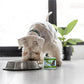 Dogs In The Kitchen Lamburgini Lamb and Wild - Caught Mackerel Au Jus Wet Dog Food 10oz - Pets Perfect