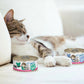 BFF Cat Batch O Besties Variety Pack 3oz. (Case of 12) - Pets Perfect