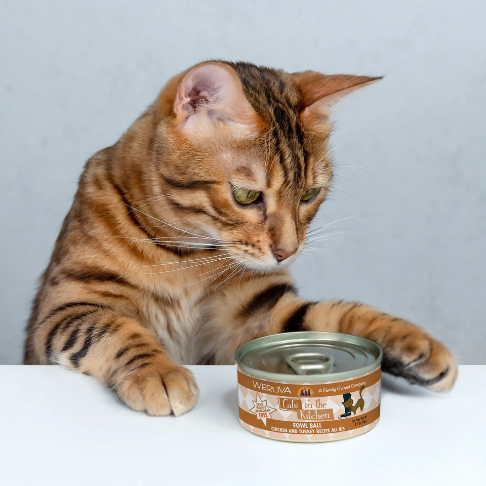Cats in The Kitchen Fowl Ball Chicken and Turkey Recipe, 6 oz 24 ct