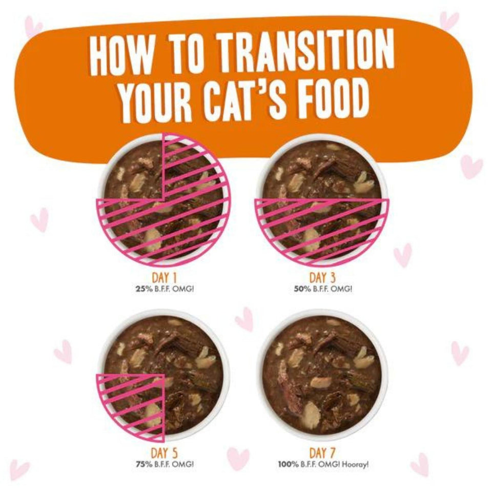 BFF Cat Omg Tuna and Salmon Sweet Cheeks Dinner in Gravy 3 oz. 12 ct