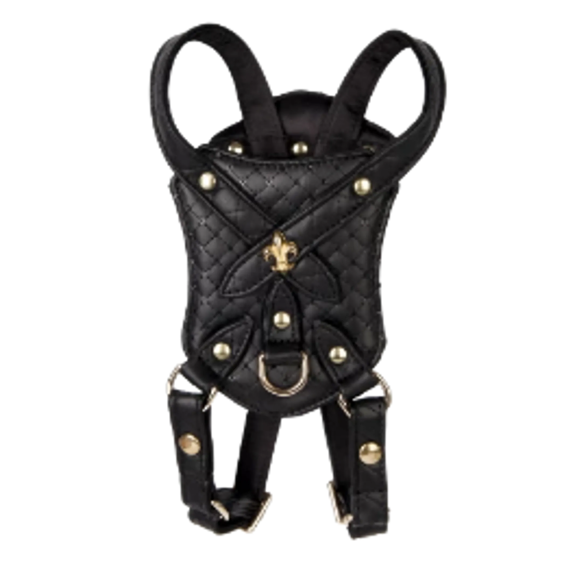 Black quilted leather Sparkle Harness with gold studs and fleur-de-lis embellishment for pets, adjustable straps included