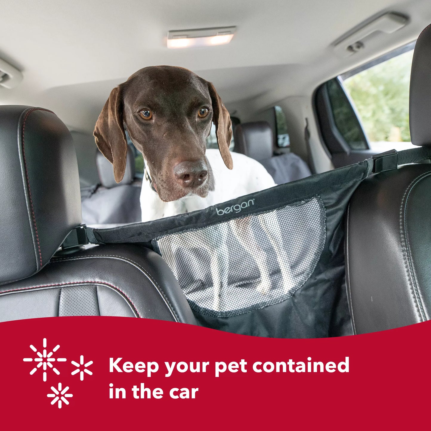 Coastal Products Bergan Auto Travel Dog Barrier, view 2