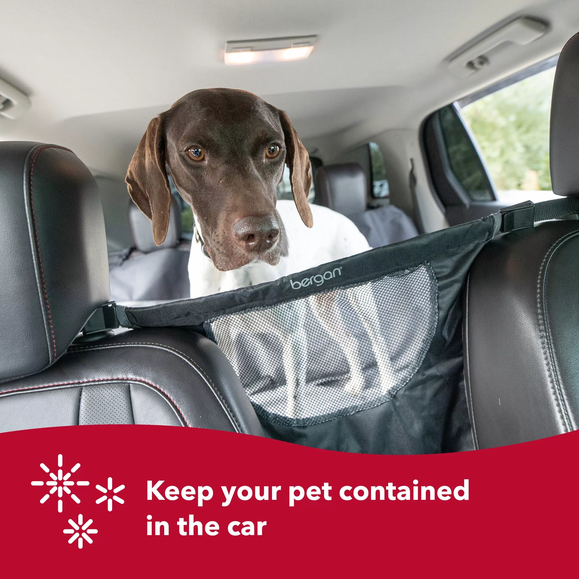 Coastal Products Bergan Auto Travel Dog Barrier, view 2