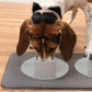 Flipo Ear-Clear Pet Feeding Station | Long-Eared Dog Bowl System with Mat