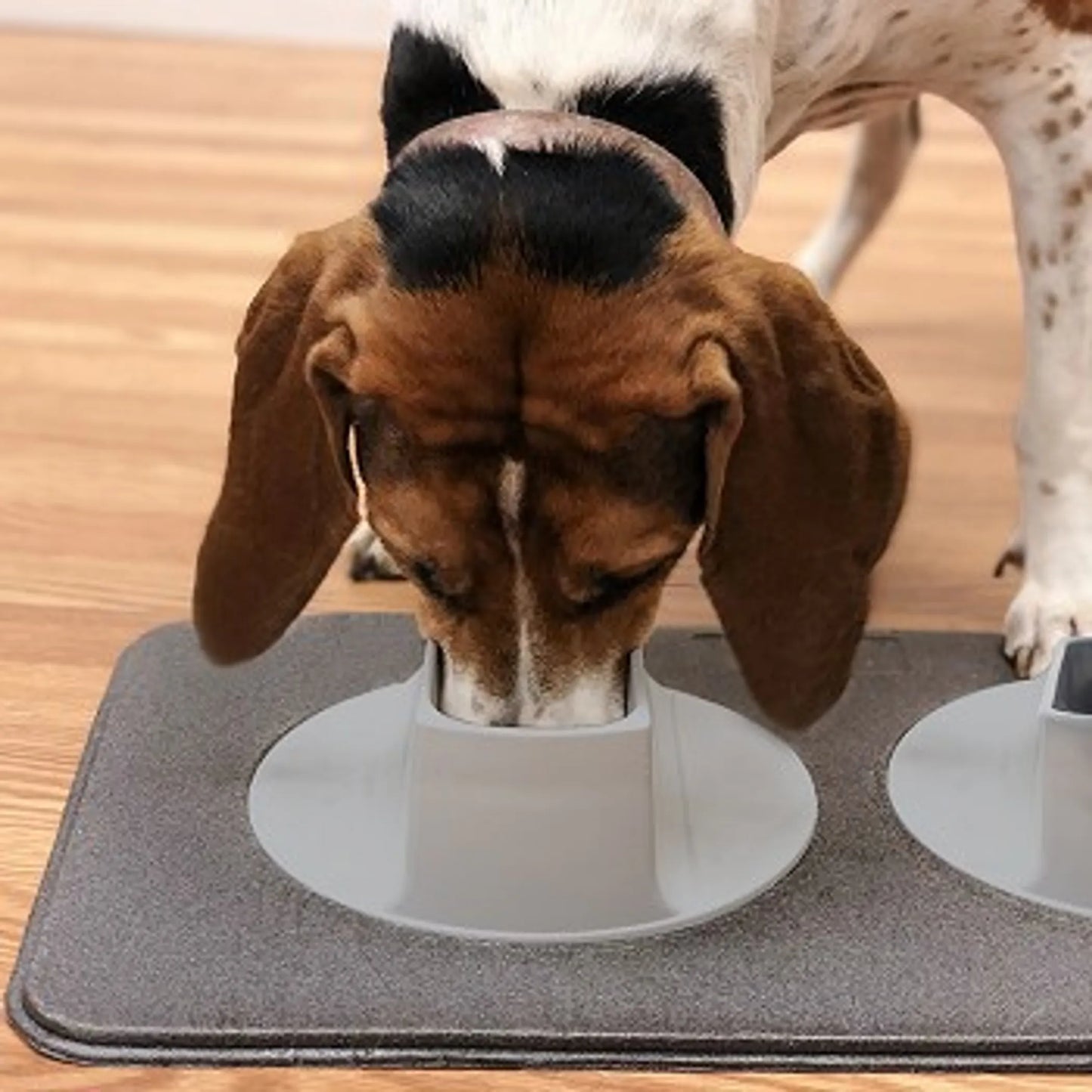 Flipo Ear-Clear Pet Feeding Station | Long-Eared Dog Bowl System with Mat