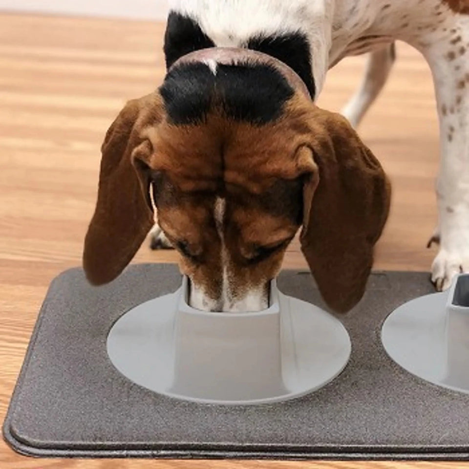 Flipo Ear-Clear Pet Feeding Station, Long-Eared Dog Bowl System with Mat - Pets Perfect