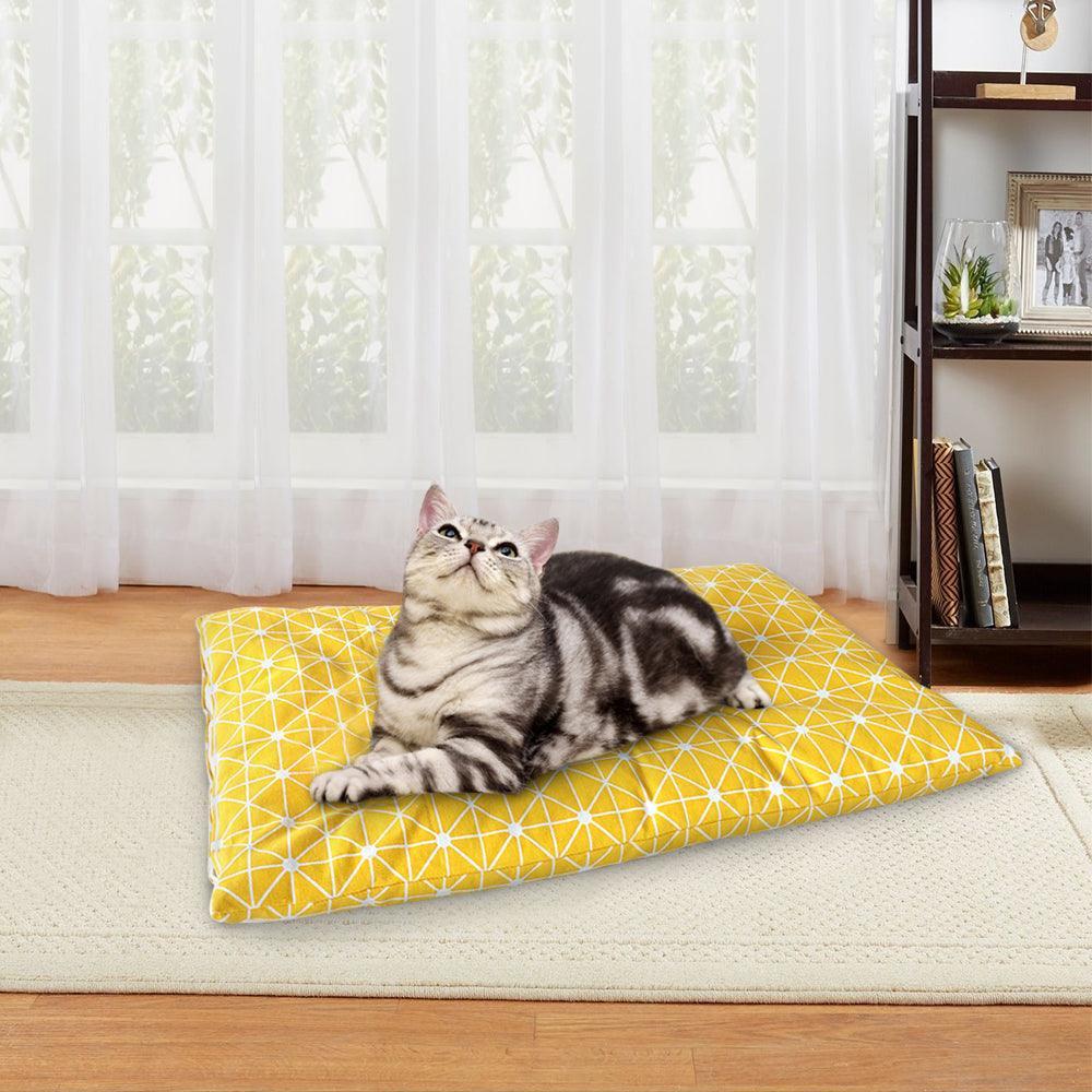 Plush Paws Palace: The Ultimate Luxury Dog Bed House - Pets Perfect