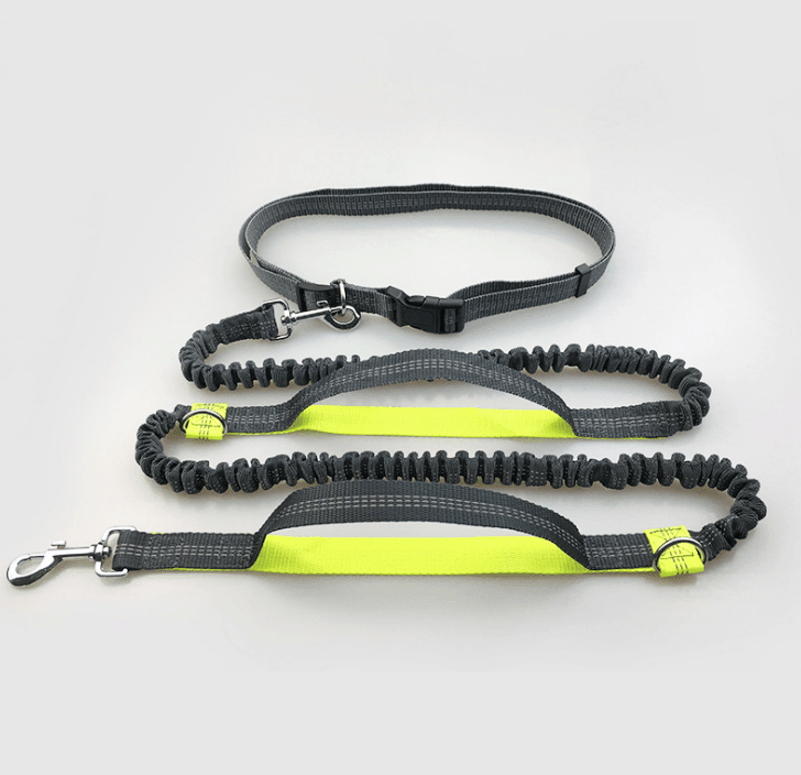 Ultimate Hands - Free Reflective Dog Leash With Multi - Function Features - Pets Perfect