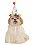 Rubies Boy Paw Print B'Day Hat Small-Medium - Pets Perfect