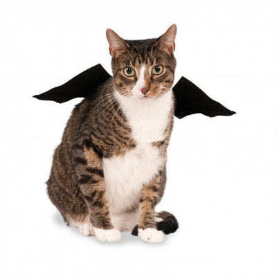Rubies Pet Bat Wings Small-Medium - Pets Perfect