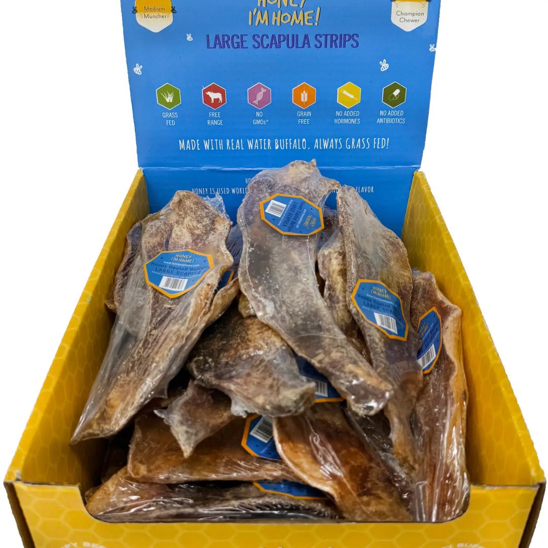 Honey I'm Home Water Buffalo Scapula Strips – Grain - Free Honey Chew | Case of 35 - Pets Perfect