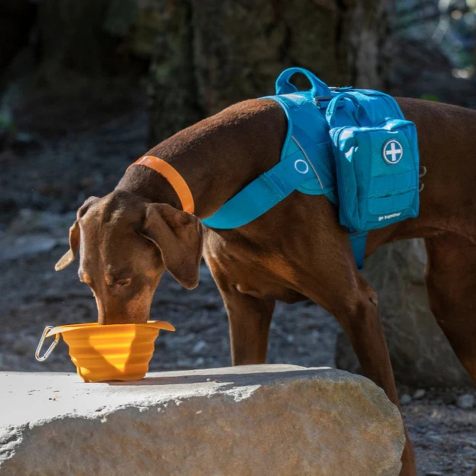 Kurgo Dog Collaps-A-Bowl Orange, view 4