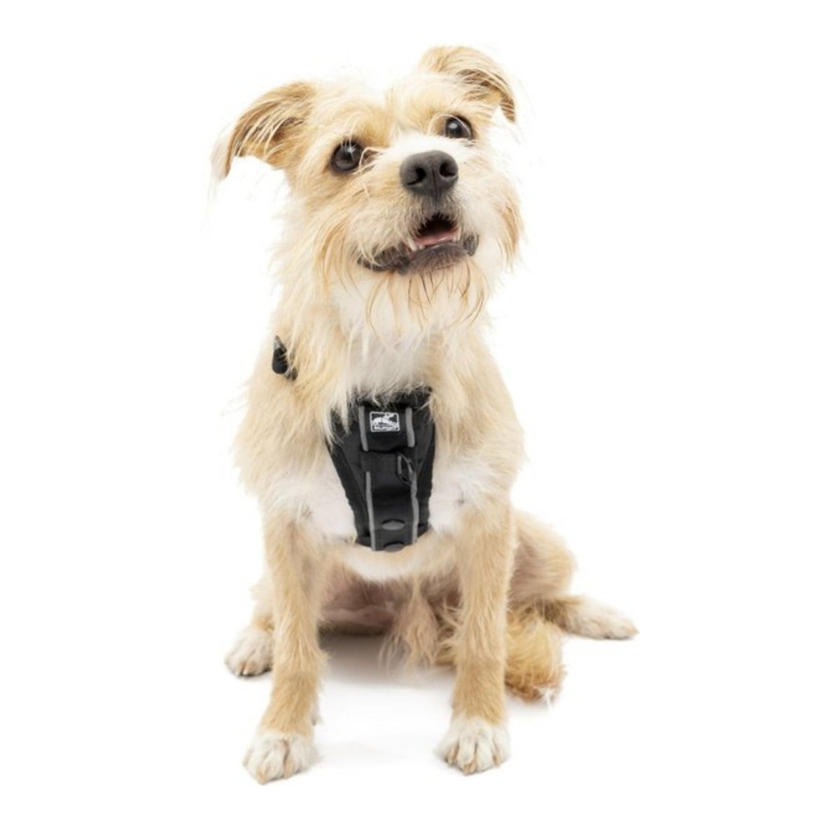 Kurgo Dog Tru Fit Harness Quick Release Black Small - Pets Perfect