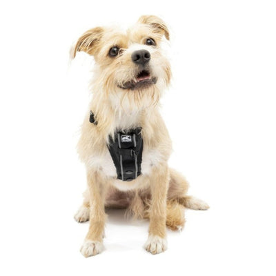 Kurgo Dog Tru Fit Dog Harness Quick Release Black Small