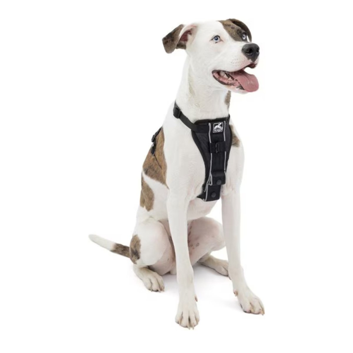 Kurgo Dog Tru Fit Harness Quick Release Black Medium - Pets Perfect