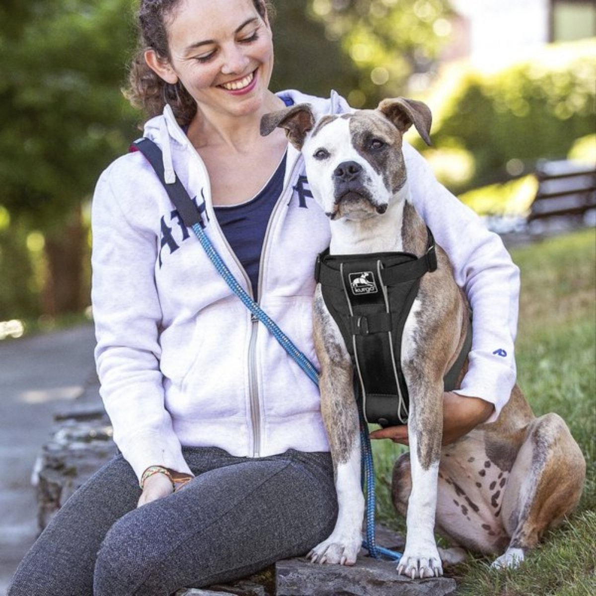 Kurgo Dog Tru Fit Harness Quick Release Black Medium - Pets Perfect