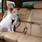 Kurgo Dog Auto Zip Line Leash Black - Pets Perfect