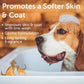 Nootie Dog Shampoo, 16 oz Warm Vanilla Cookie