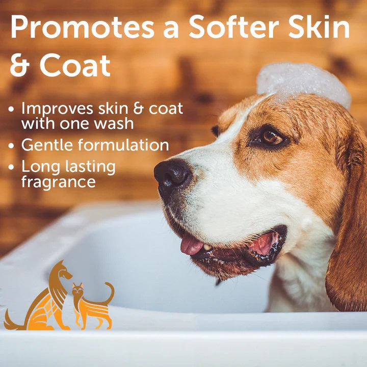 Nootie Dog Shampoo, 16 oz Warm Vanilla Cookie