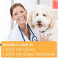 Nootie Dog Shampoo, 16 oz Warm Vanilla Cookie