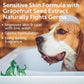 Nootie Dog Shampoo, 16 oz Coconut Lime Verbena