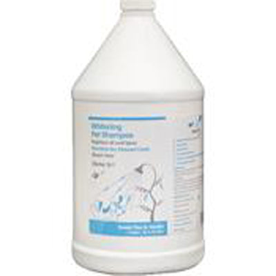 Nootie Dog Shampoo Whitening 1 gal