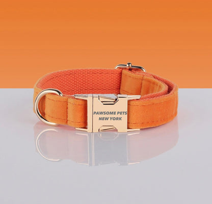 Adjustable Nylon Dog Collar - Quick - Release Buckle - Pets Perfect