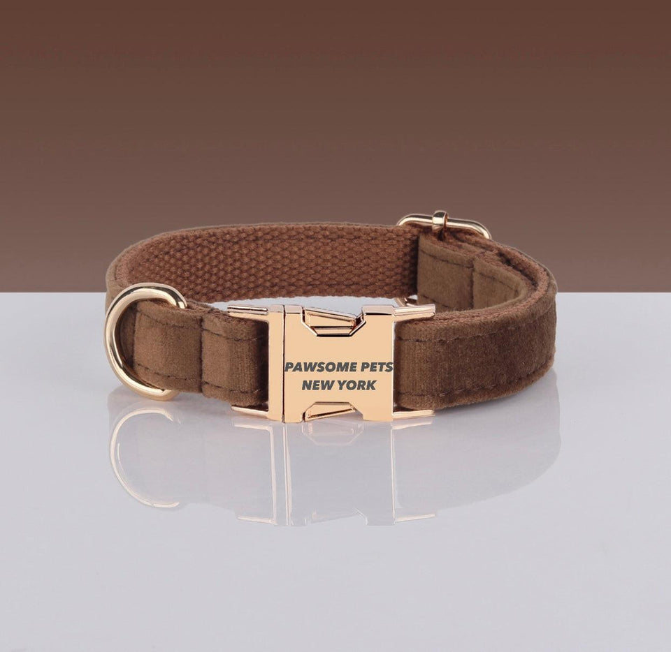 Adjustable Nylon Dog Collar - Quick-Release Buckle, XS