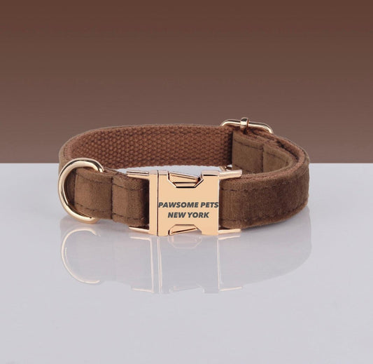 Brown dog collar with gold buckle on a reflective surface