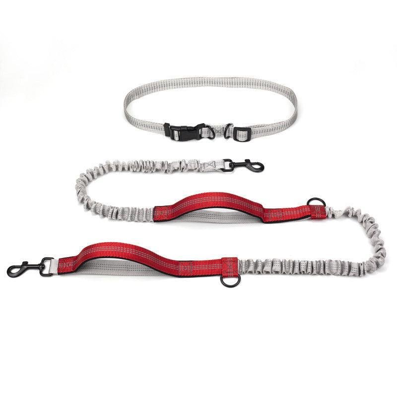 Ultimate Outdoor Adventure Dog Leash - Pets Perfect