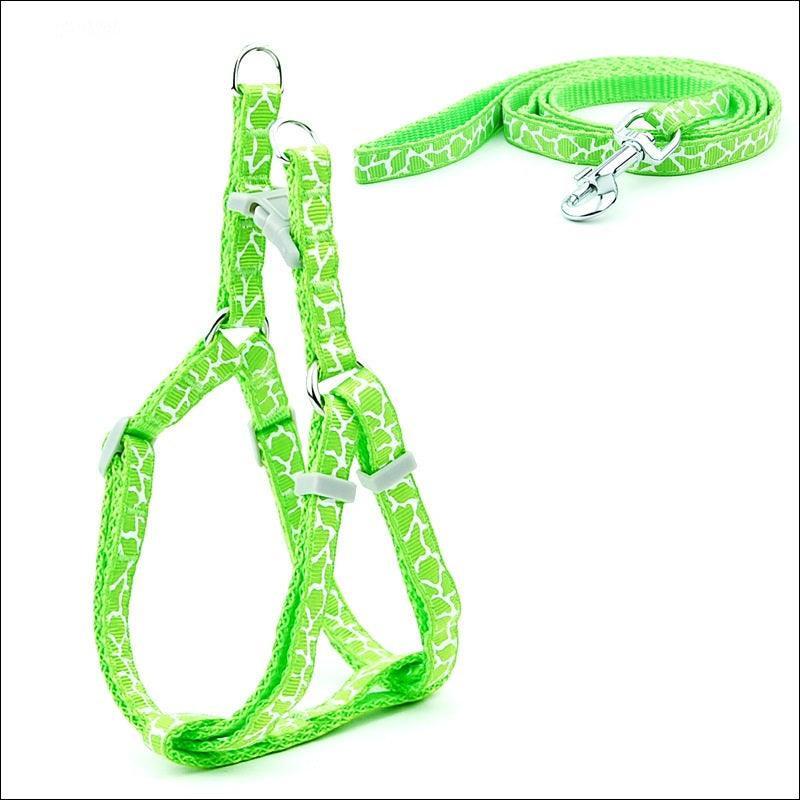 Pet Adventure Chest Strap Leash - Premium Quality Dog And Cat Walking Harness - Pets Perfect