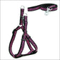 Pet Adventure Chest Strap Leash - Premium Quality Dog And Cat Walking Harness - Pets Perfect