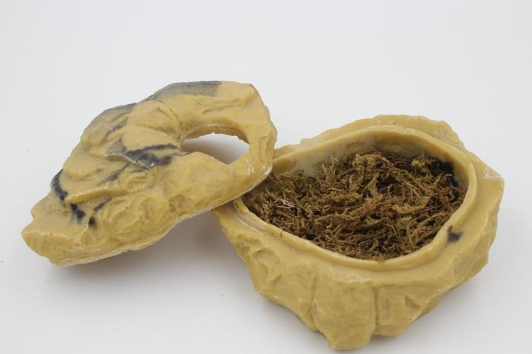 Rock Hideaway: The Ultimate Reptile Sanctuary - Pets Perfect