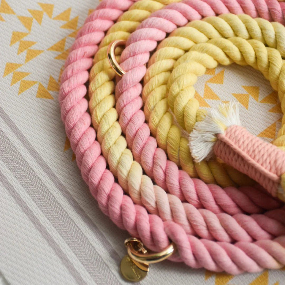 Hands-Free Dog Rope Dog Leash - Oh My Marshmallow, view 4