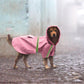Reflective Waterproof Dog Raincoat - Safety Jacket with Pocket & Velcro - Pets Perfect