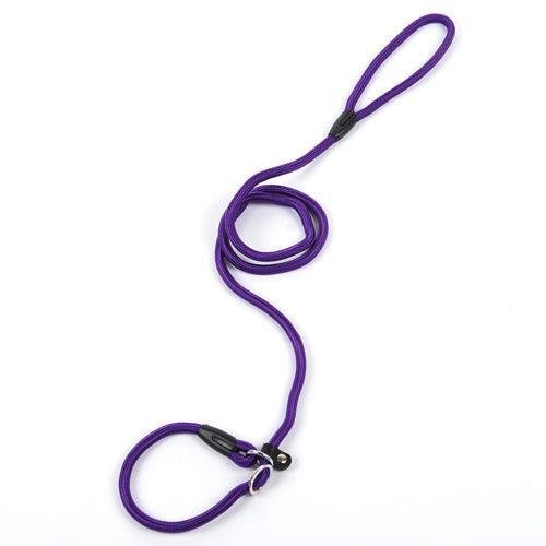 Ultimate Control Dog Leash - Pets Perfect