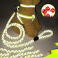 Ultimate Comfort Dog Leash - Pets Perfect