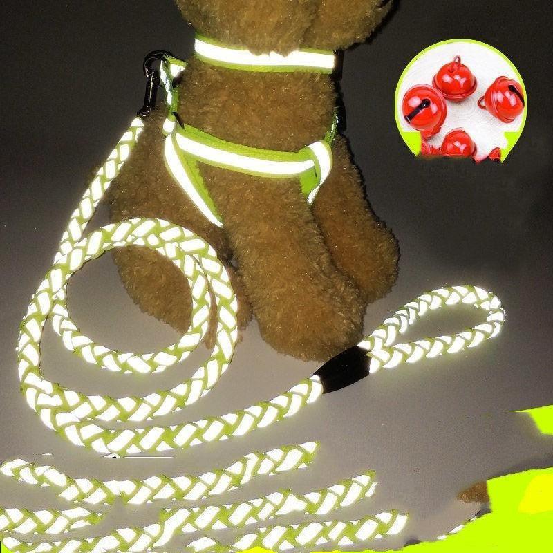Ultimate Comfort Dog Leash - Pets Perfect
