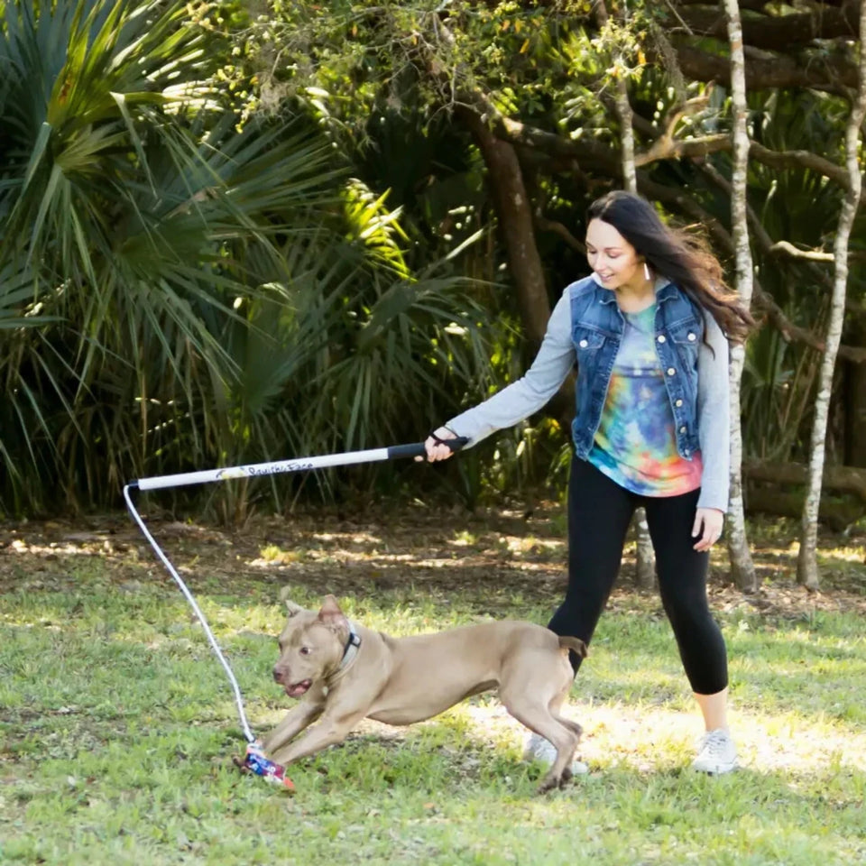 Flirt Pole V2 Dog Toy with Lure, view 13