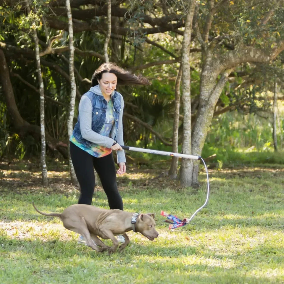 Flirt Pole V2 Dog Toy with Lure, view 11