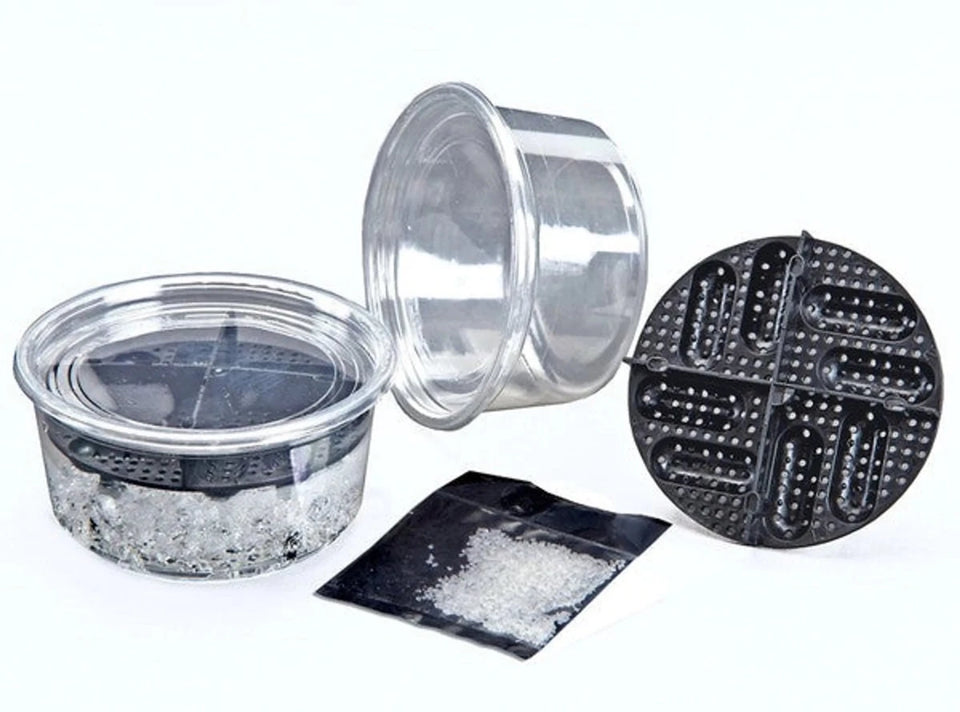 Jungle Bob Reptile Egg Incubation Tray with Cup/Lid - Pets Perfect