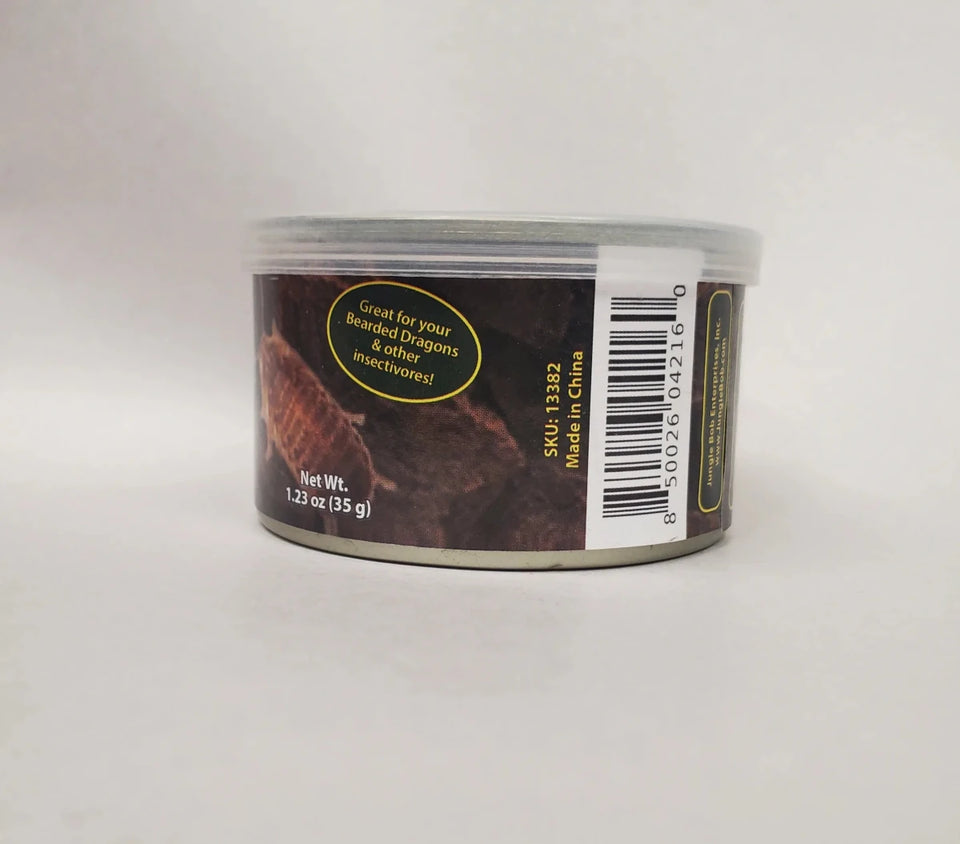 Jungle Bob Dubia Roaches in A Can Large 1.23 oz - 24 ct (Approx 25 ct) - Pets Perfect