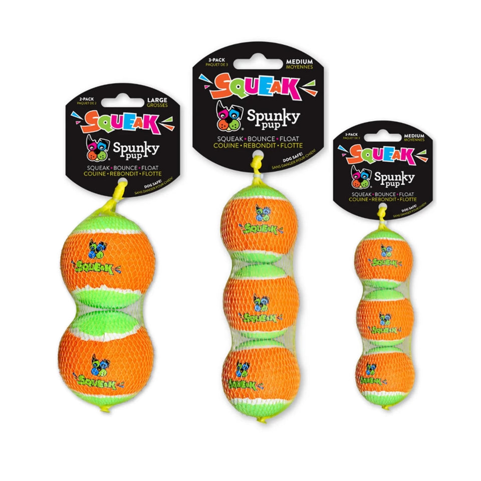 Squeaky Tennis Balls - Pets Perfect